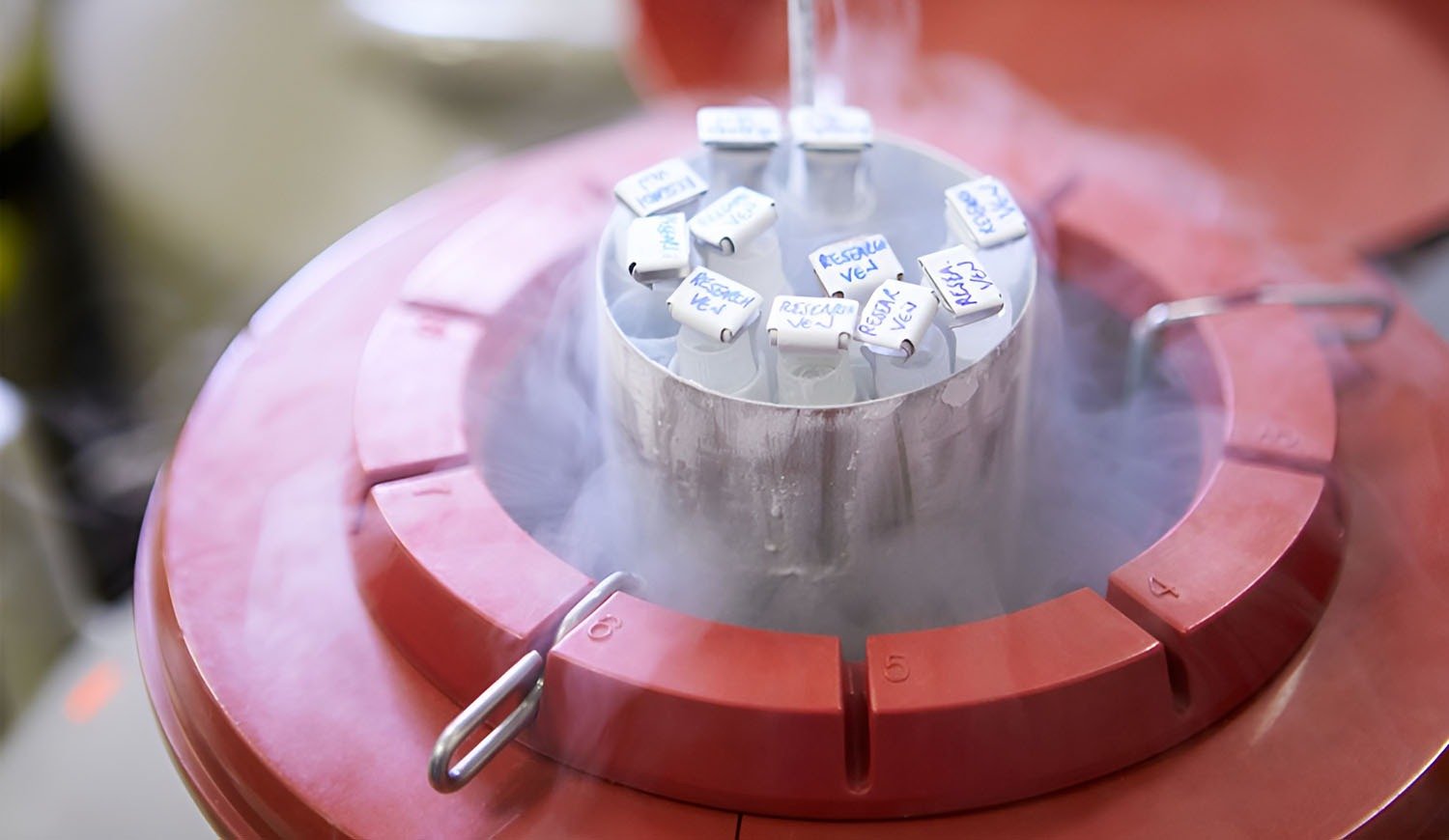 Cryogenic storage container with labeled vials kept in freezing vapor, used for egg, embryo, or sperm preservation through vitrification.